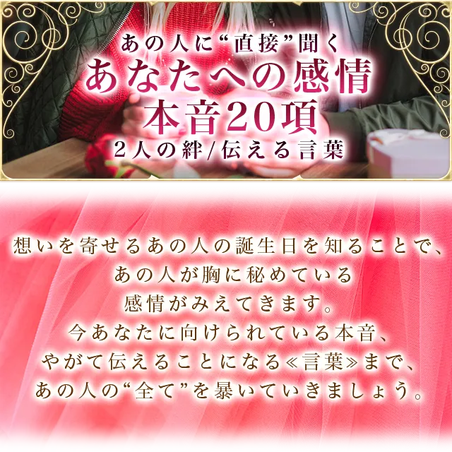 豪華プレ