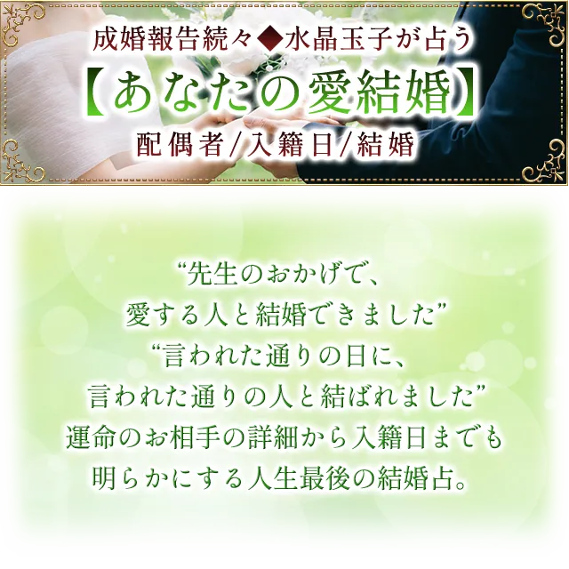 豪華プレ